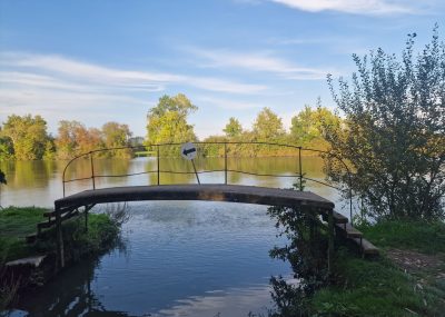 Bord de la Charente : Rando Viv'Envaux 2025